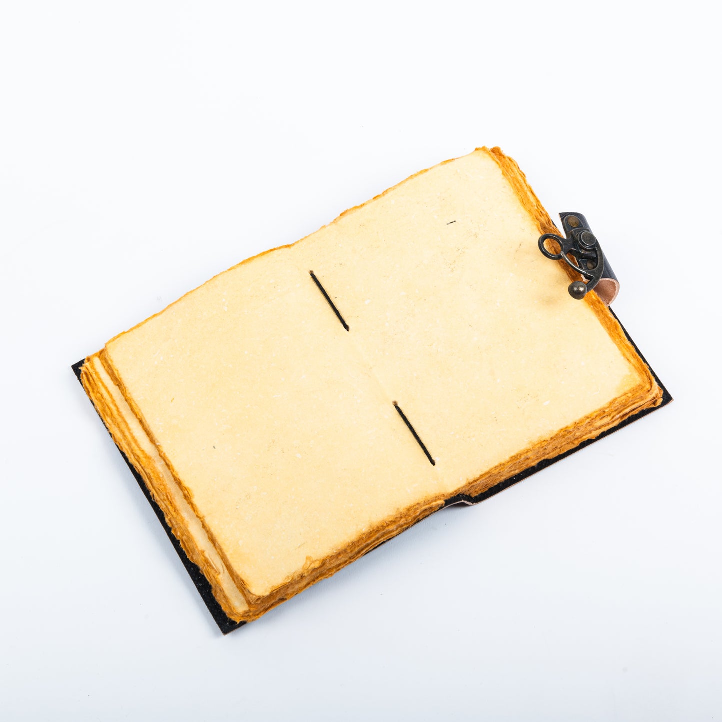Vintage Leather Bound Diary with Wolf Print